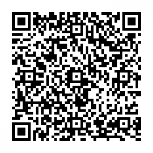 Scan with your mobile phone